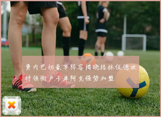 费内巴切豪华阵容揭晓格林伍德坎特领衔卢卡库阿克强势加盟