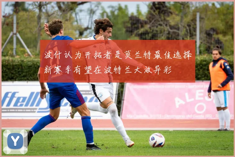 波什认为开拓者是莫兰特最佳选择新赛季有望在波特兰大放异彩
