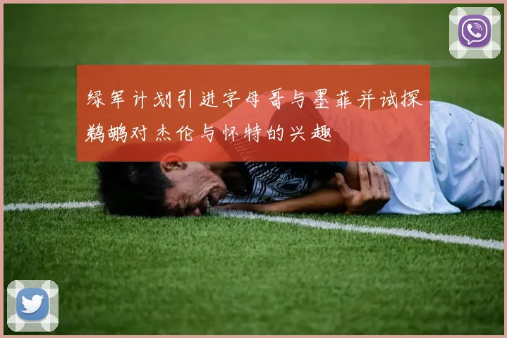 绿军计划引进字母哥与墨菲并试探鹈鹕对杰伦与怀特的兴趣